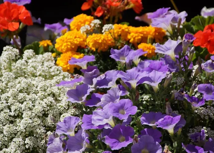 Mountain View By Interhome *