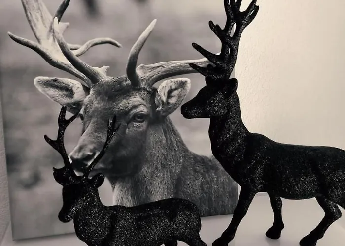 Mountain View By Interhome 公寓